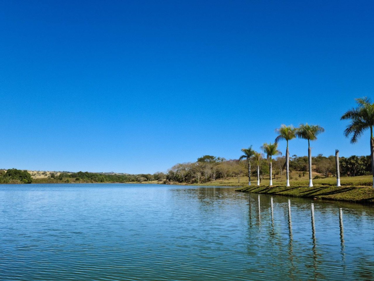 Reserva do Lago